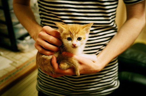 中国香港队未来的发展重点：如何在青少年中寻找下一个巨星，规划香港球员